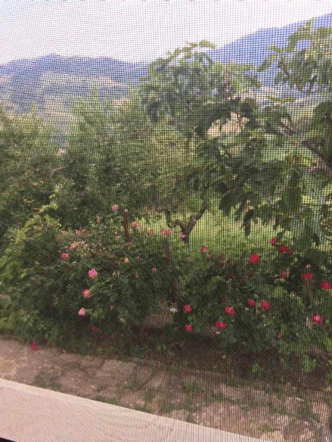 La Casa Nel Verde Castelmezzano Εξωτερικό φωτογραφία