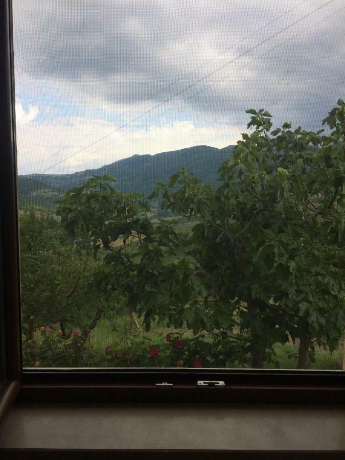 La Casa Nel Verde Castelmezzano Εξωτερικό φωτογραφία